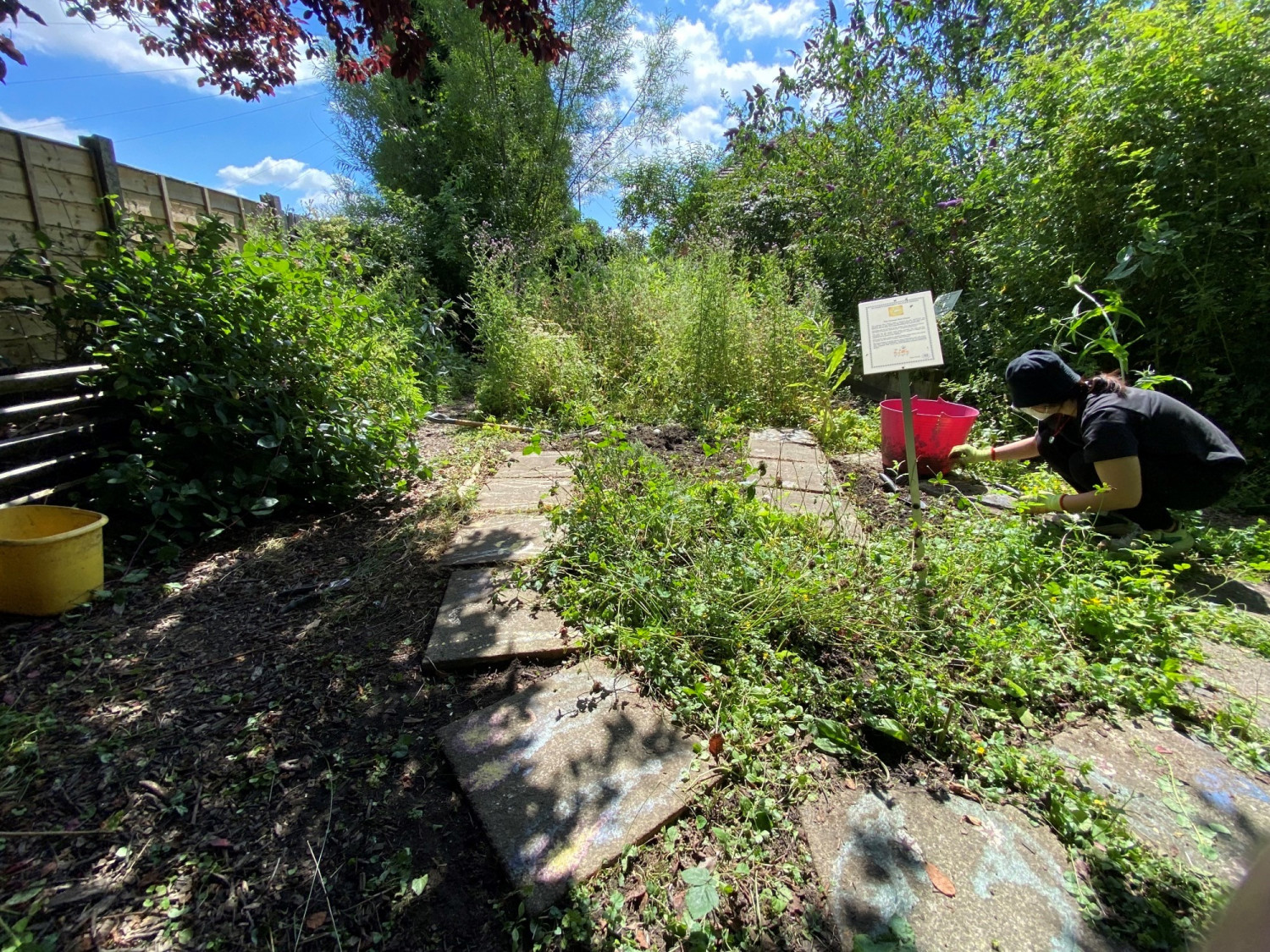 View of wildlife garden including herbs, small bushes, trees, and woman working on flowerbeds